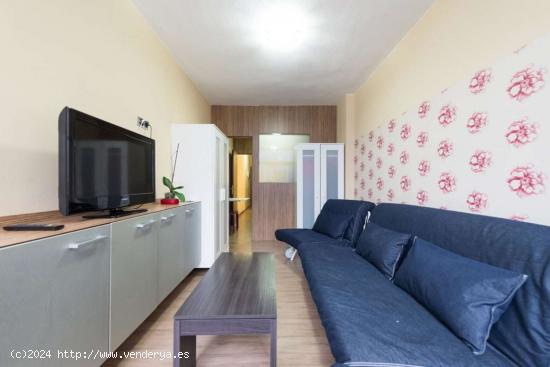  Apartamento de 1 dormitorio en alquiler en Las Palmas de Gran Canaria - LAS PALMAS 