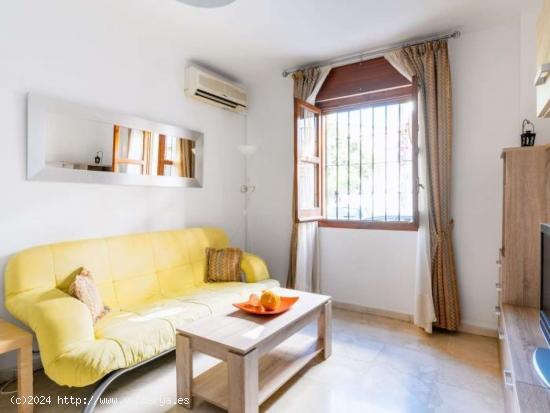  Apartamento de 1 dormitorio en Triana, Sevilla - SEVILLA 