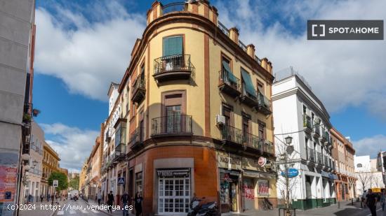 Piso de 2 dormitorios en alquiler en Sevilla - SEVILLA