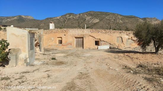  Terreno 12.988 m2 Hondon de los Frailes  La Canalosa  con Casa Cueva (España) - ALICANTE 