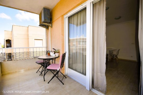 Apartamento en alquiler en Guardamar del Segura (Alicante)