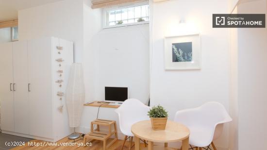 Amplio y elegante estudio con muebles modernos en alquiler en el centro de la ciudad - MADRID
