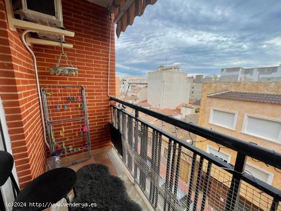  Coqueto apartamento en el centro de Guardamar del Segura, Alicante, Costa Blanca - ALICANTE 