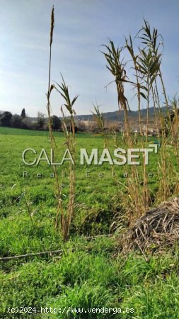 Suelo rústico en venta  en Castell-Platja d Aro - Girona