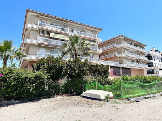  Apartamento en alquiler en Torrox (Málaga) 