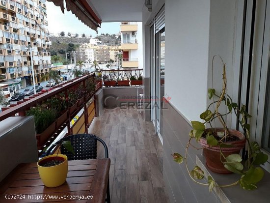 Apartamento en alquiler en Torre del Mar (Málaga)