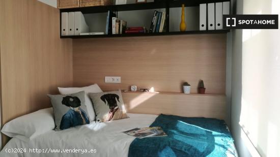 Habitación individual en residencia de lujo en Salamanca, Madrid. - MADRID