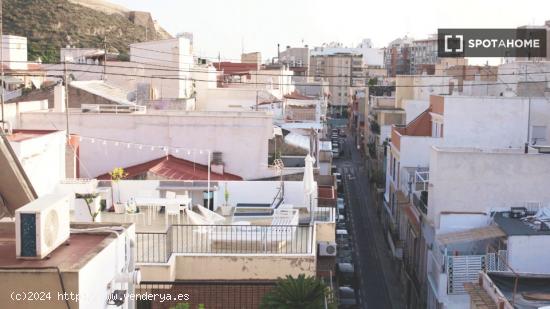 Estudio en alquiler en Alicante - ALICANTE