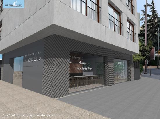 Exclusiva Promoción de 5 viviendas y Local comercial en Paseo del Violón. - GRANADA