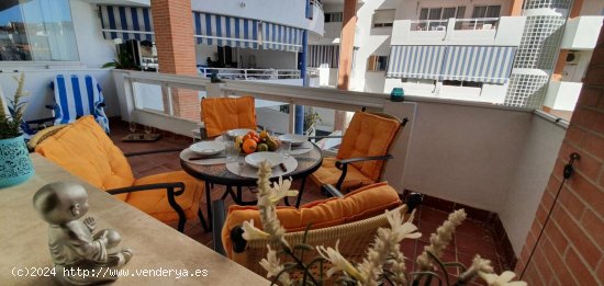 Apartamento en alquiler en Fuengirola (Málaga)