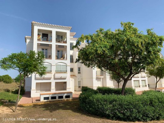 Apartamento en alquiler en Murcia (Murcia)