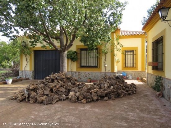  Casa en venta en Osuna (Sevilla) 