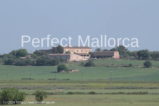  Casa en venta en Vilafranca de Bonany (Baleares) 