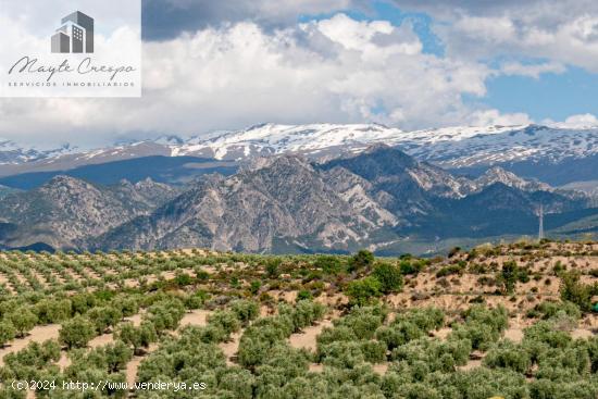 Estupenda parcela en el Campo de Golf  Sana Clara en Otura - GRANADA