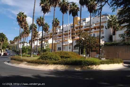  Apartamento en alquiler en Benalmádena (Málaga) 
