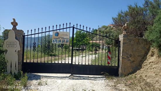  URRÁCAL ( ALMERÍA ) . CASA RURAL CON TERRENO. - ALMERIA 