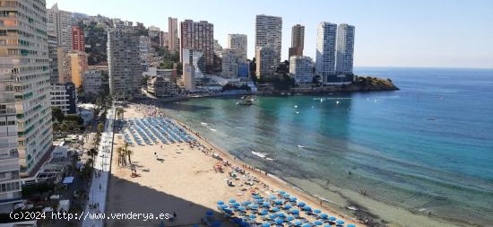 Rebajado primera línea playa levante reformado parking y piscina www.euroloix.com - ALICANTE