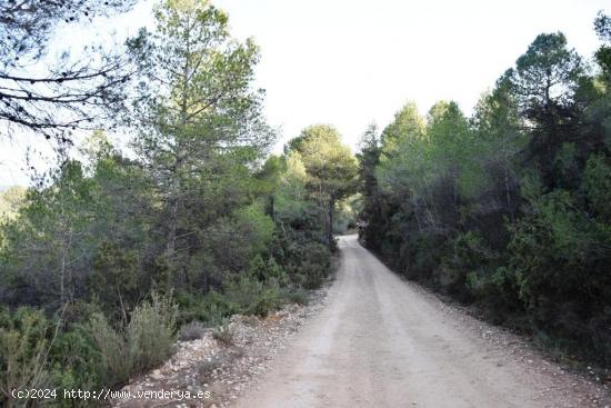 Se Vende en Arens de Lledo - TERUEL