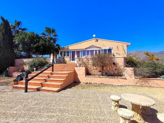  Villa en venta en Novelda (Alicante) 
