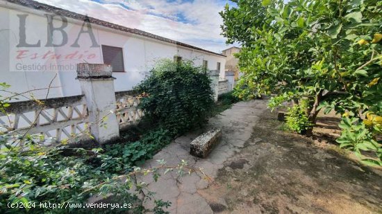 GRAN VIVIENDA SEÑORIAL CON GRANDES JARDINES EN EL CENTRO - Baños de la Encina