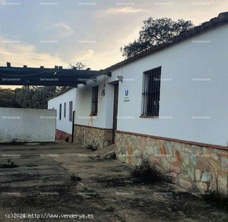 SE VENDE FINCA RÚSTICA EN VENTA EN CORTEGANA (HUELVA) ESPAÑA. - Cortegana