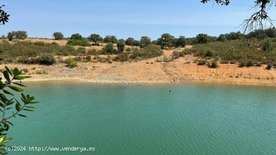  FINCA DE RECREO SEVILLA-BENACAZON -CHUCENA- - HUELVA 