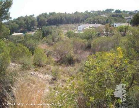 TERRENO TIPO SOLAR EN JAVEA - ALICANTE