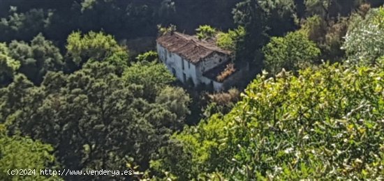  Casa de campo-Masía en Venta en Jubrique Málaga 