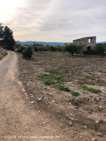 Parcela rustica al lado de la ucam - MURCIA