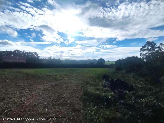  Parcela en venta en Tapia de Casariego (Asturias) 