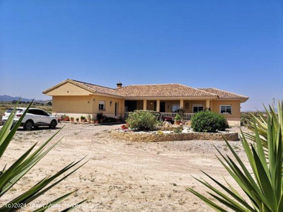  Villa en venta en Totana (Murcia) 