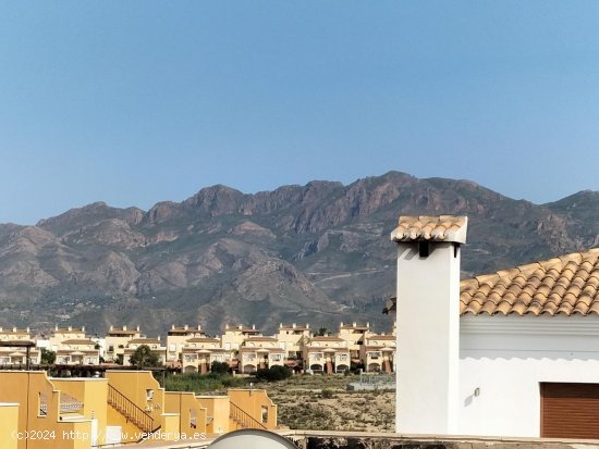 Villa en venta en Los Gallardos (Almería)