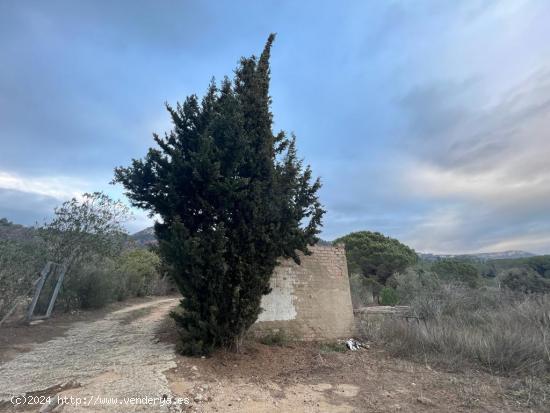  Finca RÚSTICA CON CASETA DE 40 METROS DE HERRAMIENTAS - TARRAGONA 