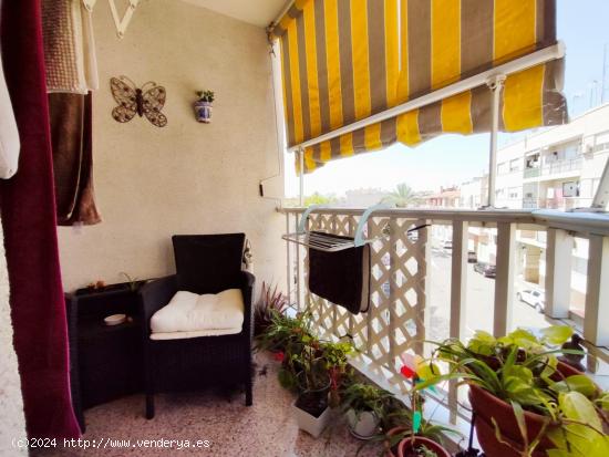Fantástico apartamento en la localidad de Catral, Alicante, Costa Blanca - ALICANTE