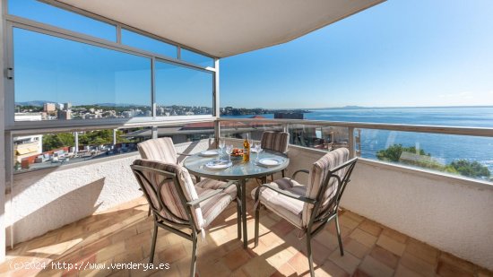 Apartamento en alquiler en Calvià (Baleares)