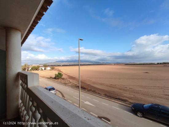  ADOSADO EN CUEVAS DE REYLLO - MURCIA 