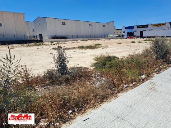 SE VENDE PARCELA EN POLIGONO LOS BARRIOS (ROJALES - ALICANTE) - ALICANTE