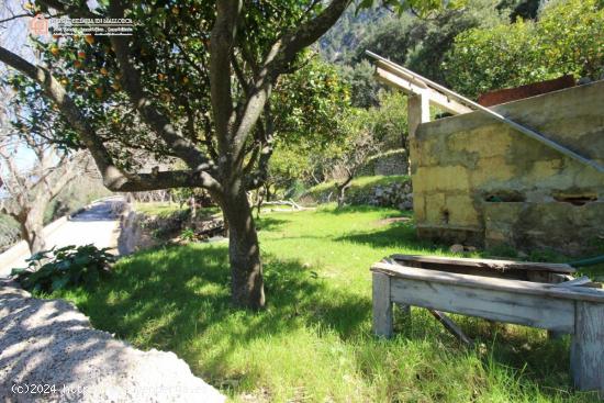  Finca Rústica A Reformar En Sóller - BALEARES 