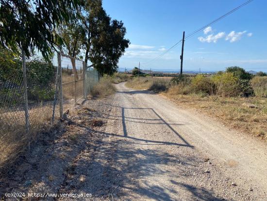 Finca con vivienda en junto a La Manga Club, zona Los Belones - MURCIA