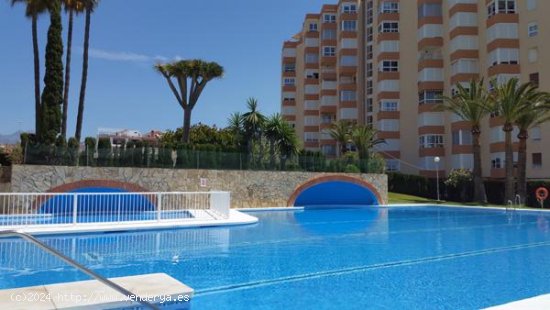  Apartamento en alquiler en Torrox (Málaga) 
