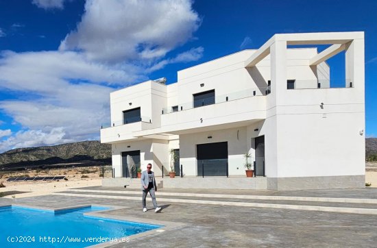  Villa en venta a estrenar en Pinoso (Alicante) 