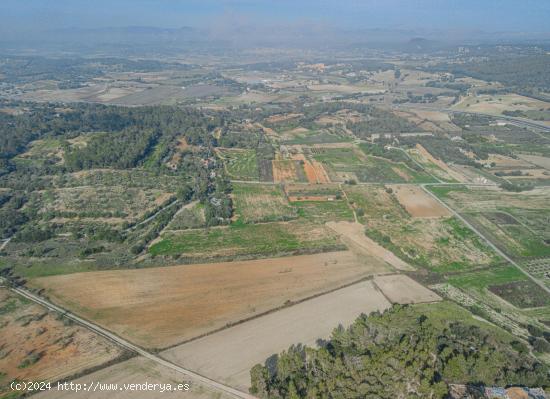  Terreno en las afueras de Villafranca - BALEARES 