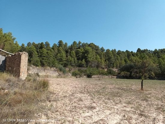 Suelo rústico en venta  en Horta de Sant Joan - Tarragona