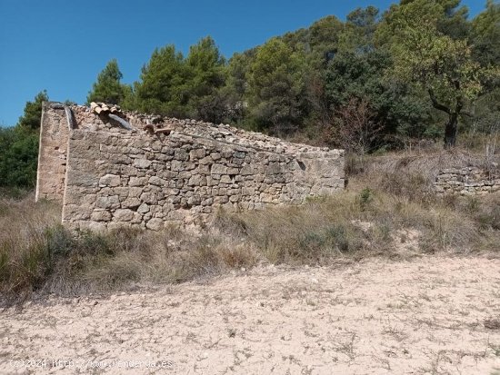 Suelo rústico en venta  en Horta de Sant Joan - Tarragona