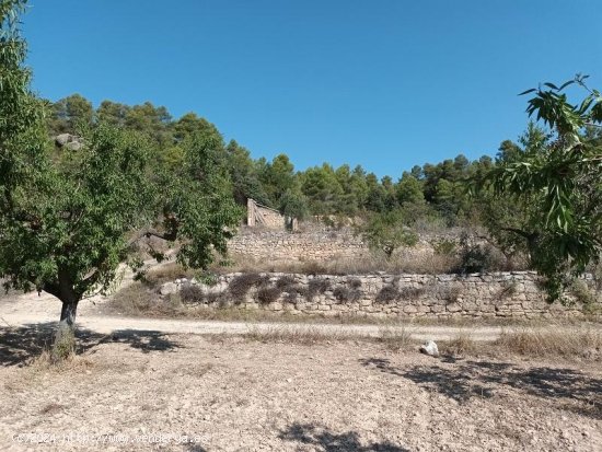 Suelo rústico en venta  en Horta de Sant Joan - Tarragona