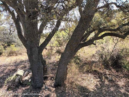 Suelo rústico en venta  en Horta de Sant Joan - Tarragona