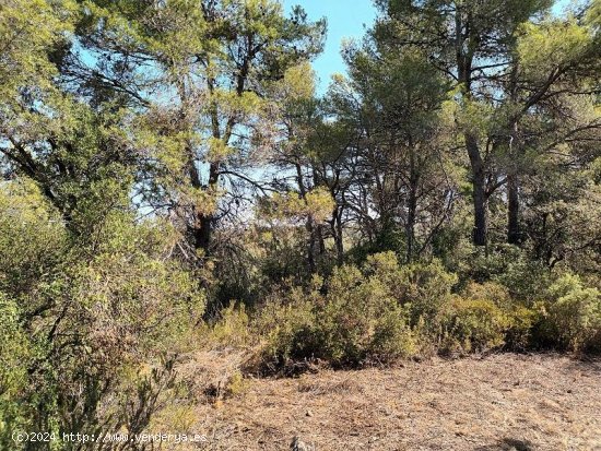 Suelo rústico en venta  en Horta de Sant Joan - Tarragona