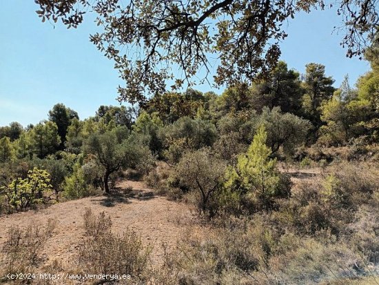 Suelo rústico en venta  en Horta de Sant Joan - Tarragona