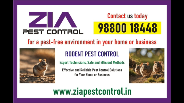Zia Pest Control Services | effective pest control solutions to our clients | 1863