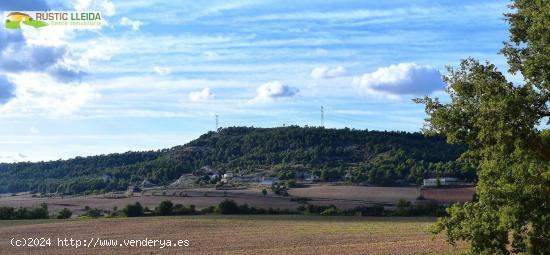  CASA Y ALMACENES (DE UNOS 896 M2) EN EL MUNICIPIO DE VALLDEPERES. - TARRAGONA 